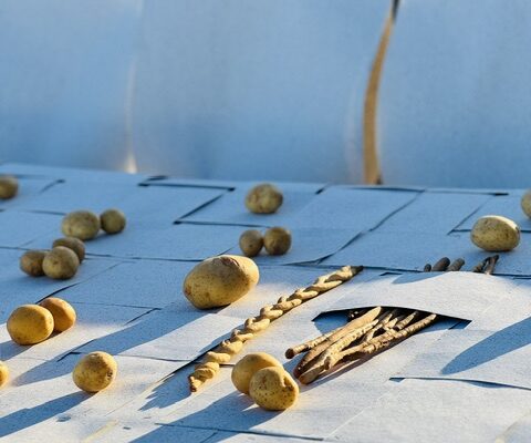 Boisbuchet: baking experience and Embodied Nature workshop
